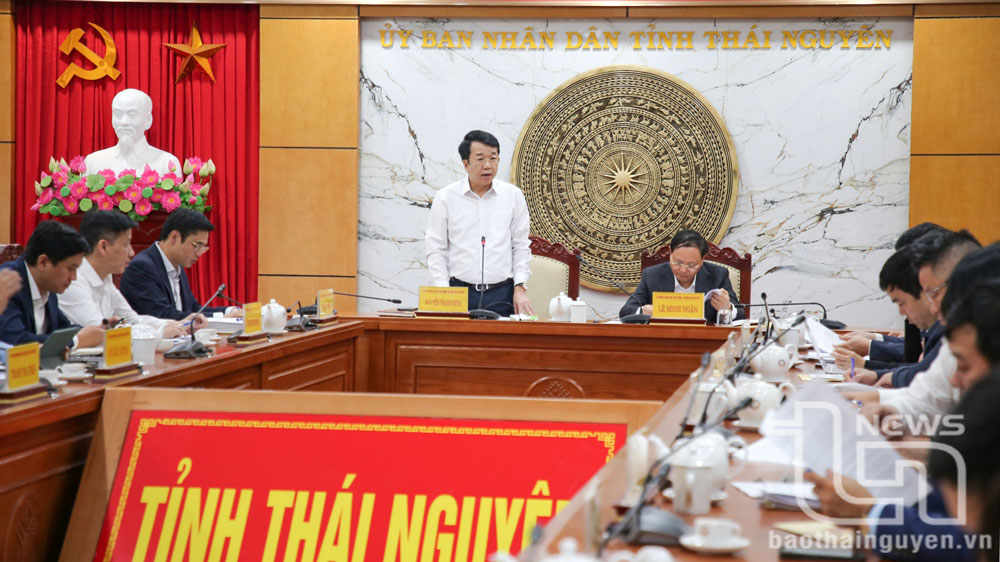 Đồng chí Phó Chủ tịch Thường trực UBND tỉnh Nguyễn Thanh Bình phát biểu tại buổi làm việc.