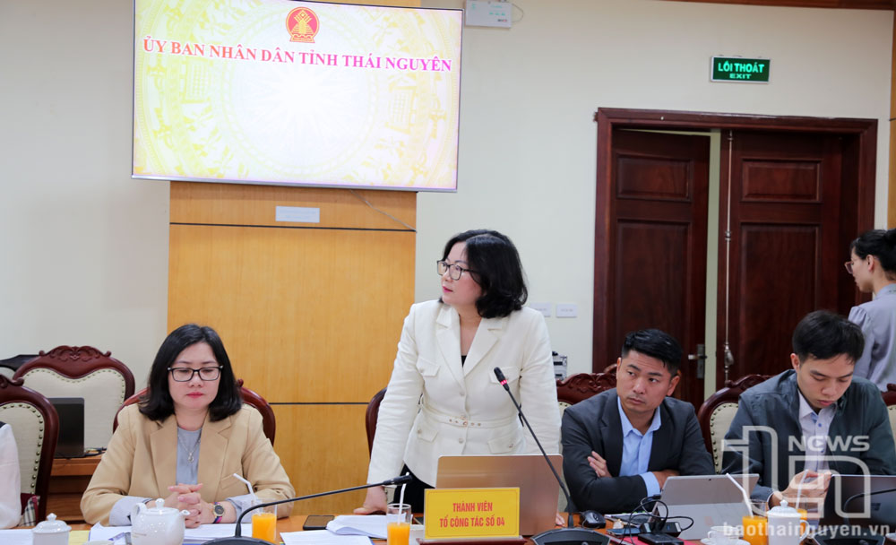 Thành viên Tổ công tác đề nghị tỉnh Thái Nguyên làm rõ một số khó khăn, vướng mắc đối với các dự án.