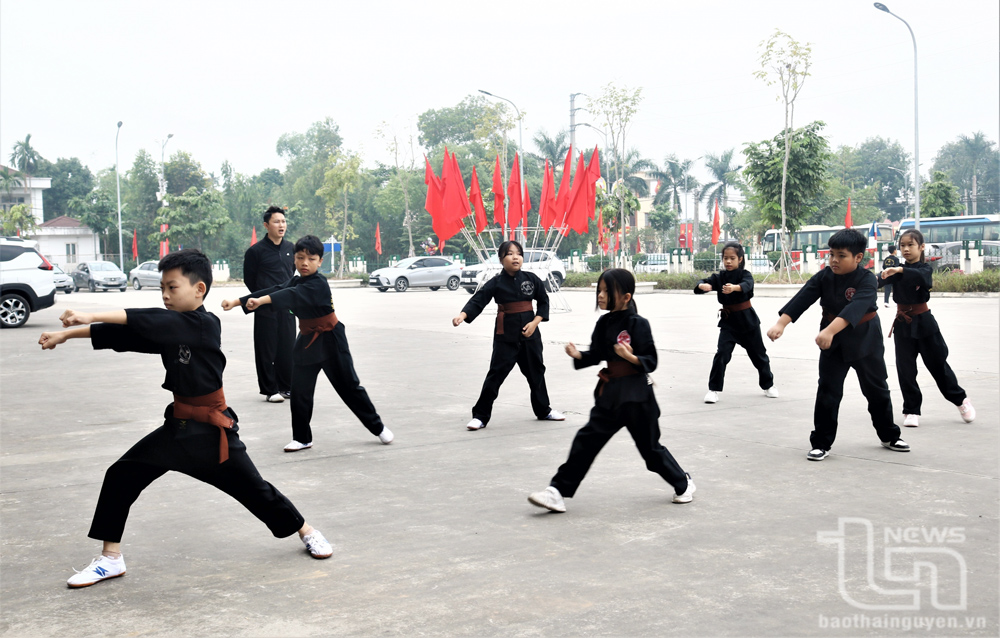 Các bài võ cổ truyền Việt Nam được ngành Giáo dục tỉnh Thái Nguyên đưa vào trường học.