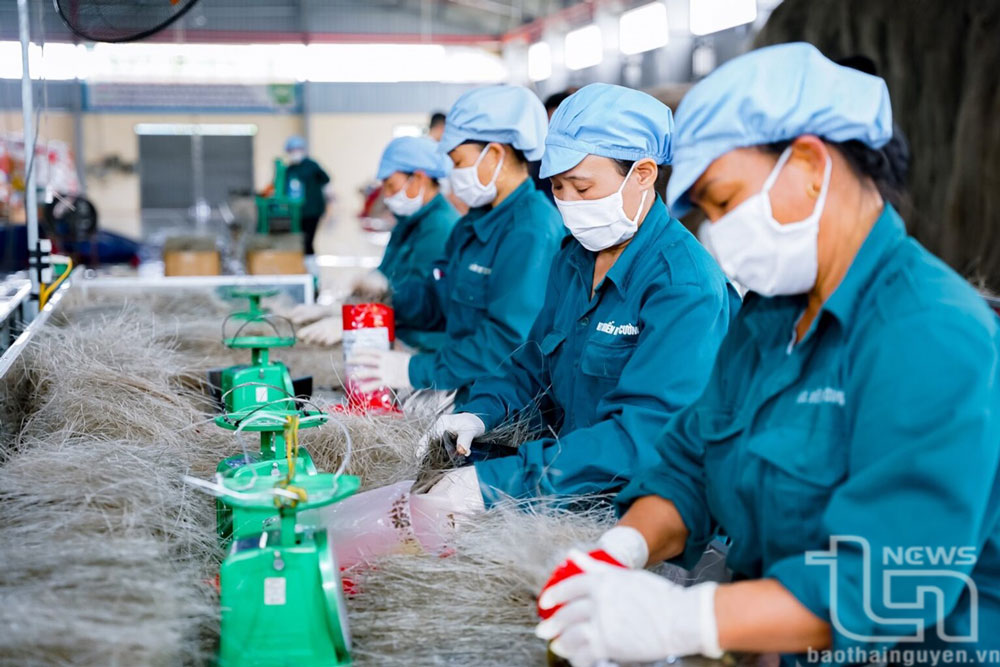 Đưa tiểu thủ công nghiệp trở thành nguồn lực kinh tế mạnh