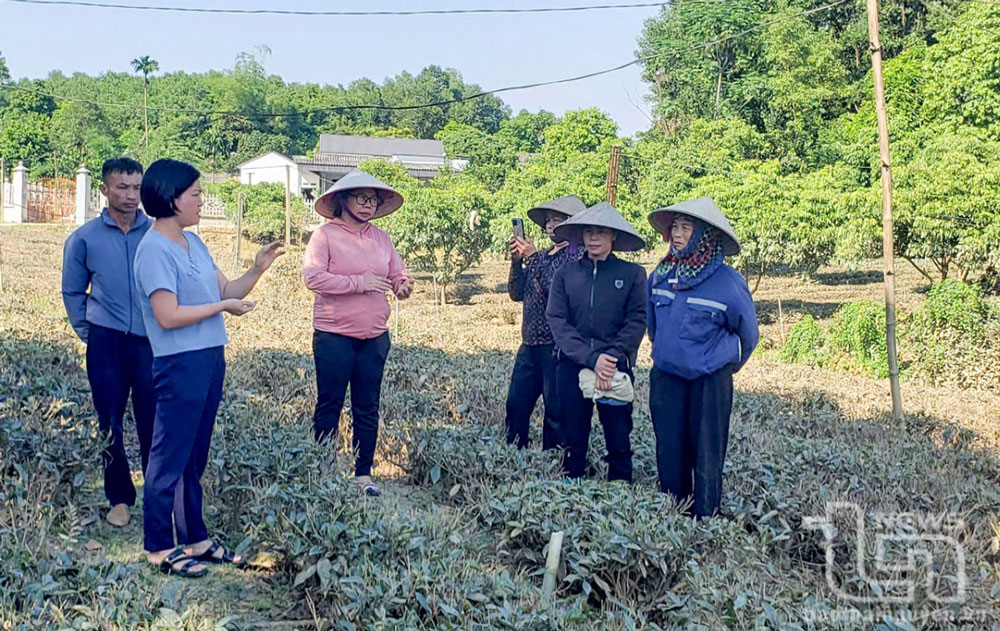 Tinh gọn bộ máy: Thống nhất nhận thức tới hành động