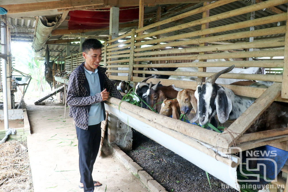 Giải ngân trên 200 tỷ đồng cho hộ nghèo, đối tượng chính sách vay vốn