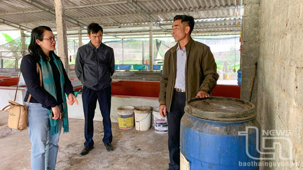 Nông dân “bắt” vi sinh làm “chìa khóa vàng” cho nông nghiệp