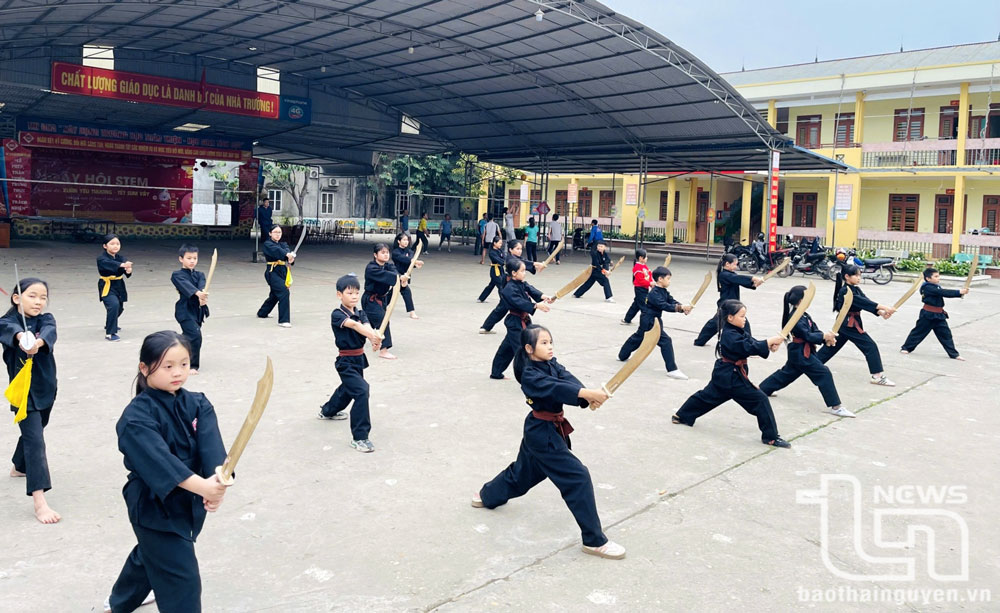 Phát triển võ cổ truyền trong trường học