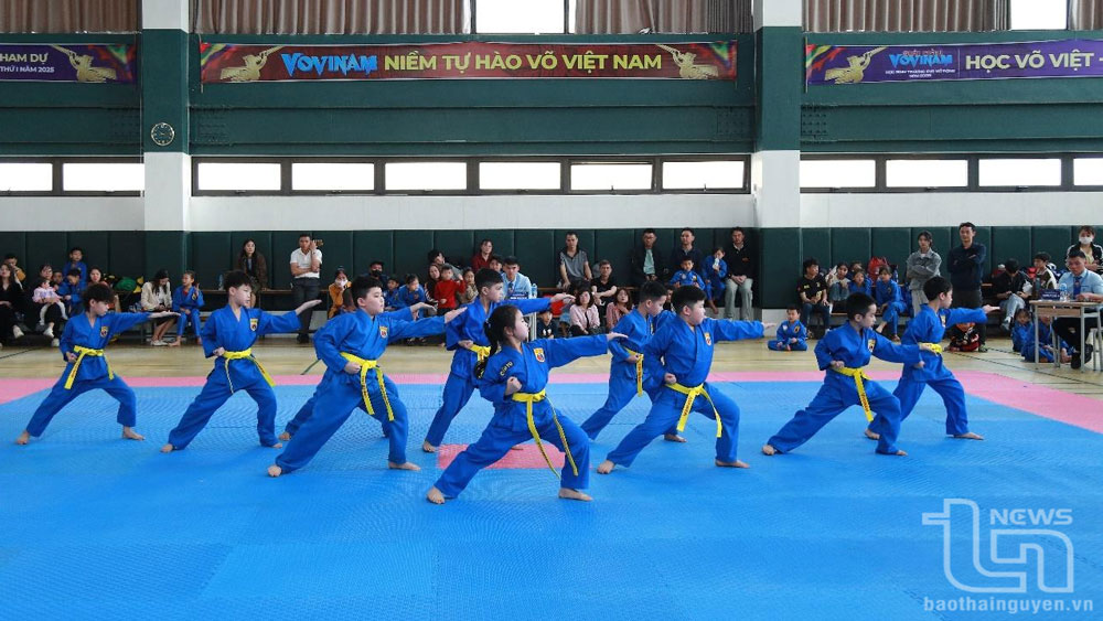 Các vận động viên thi đấu.