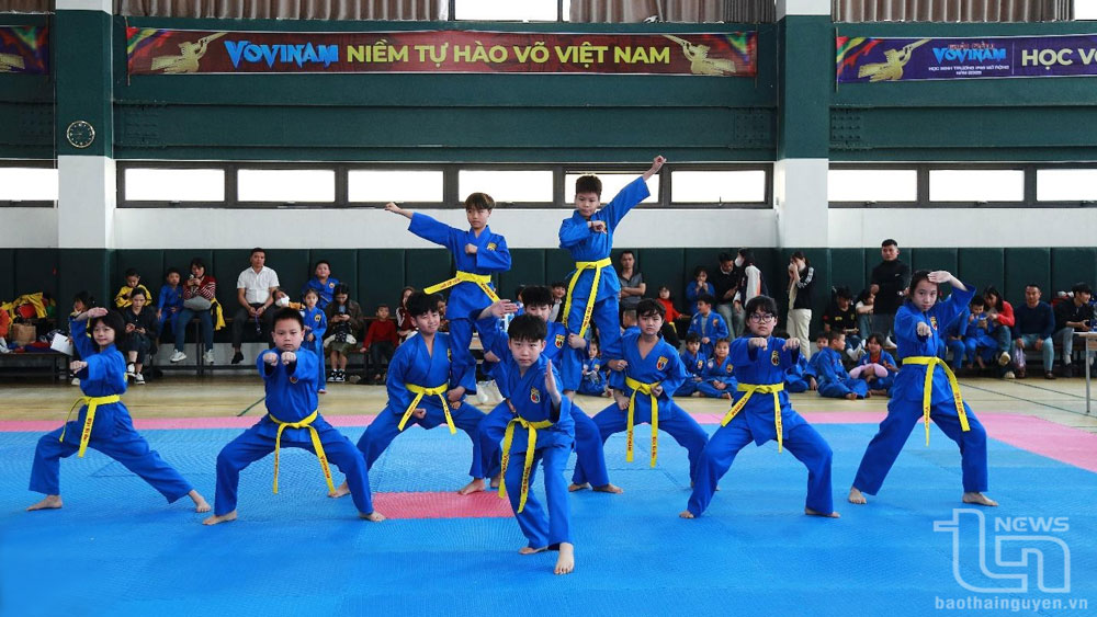 Giải Vovinam học sinh Trường Iris mở rộng - Cup Thái Hưng lần thứ I