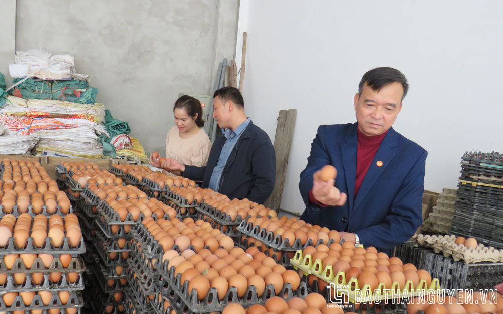Người cán bộ mặt trận tâm huyết với việc chung