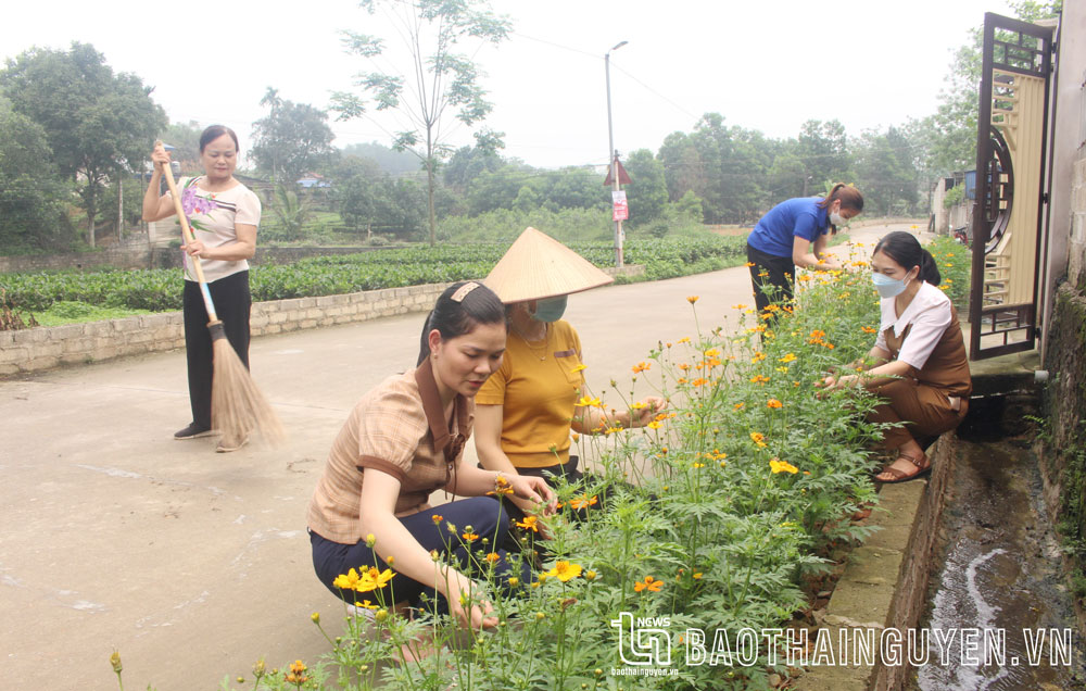 Những tuyến đường hoa tô điểm nông thôn mới