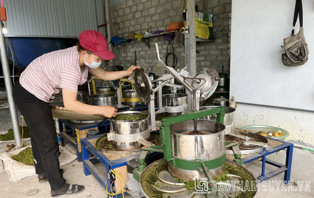 Điện yếu ở Hoàng Nông nhiều năm chưa được khắc phục