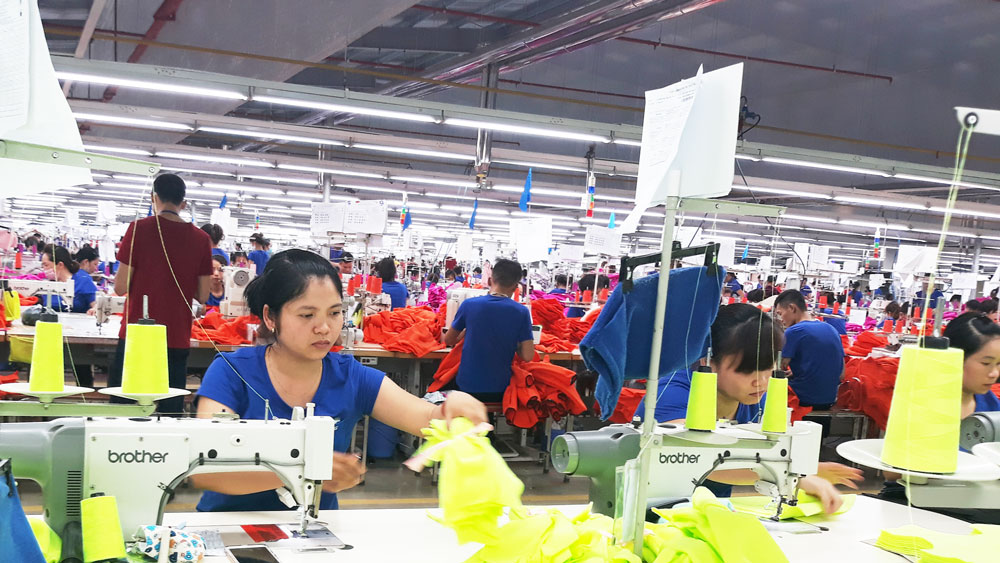TNG: Doanh thu tăng 36% so với cùng kỳ