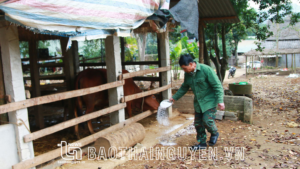 Hoàn thành tiêm phòng đợt 1 cho đàn vật nuôi