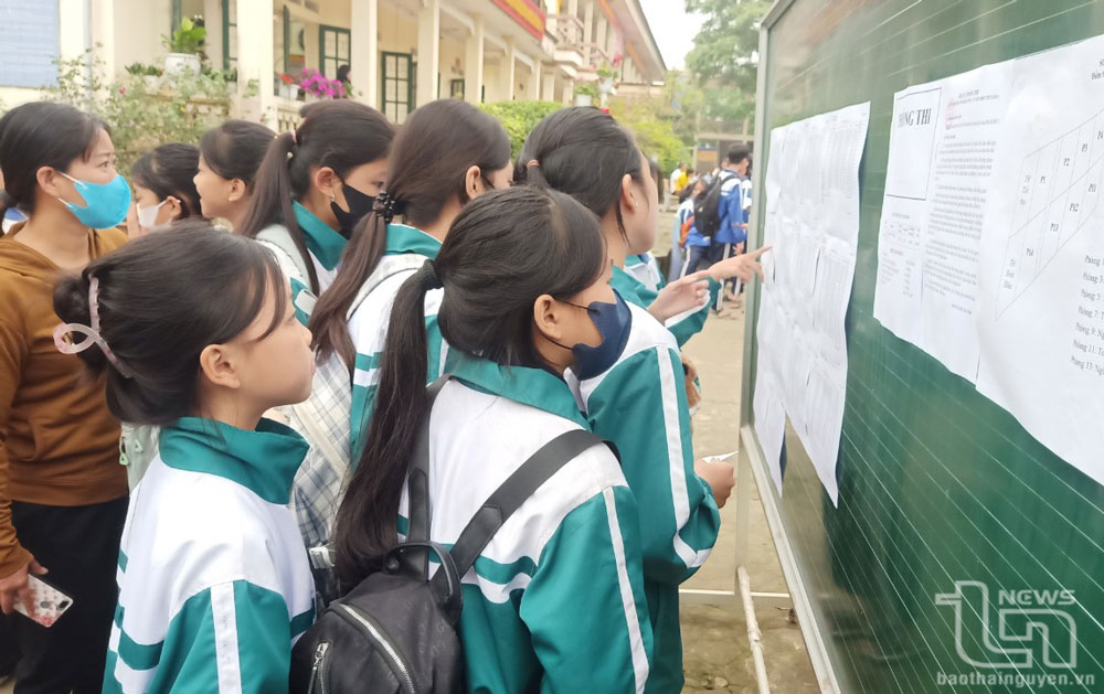 Gần 500 học sinh tham dự kỳ thi giao lưu học sinh giỏi