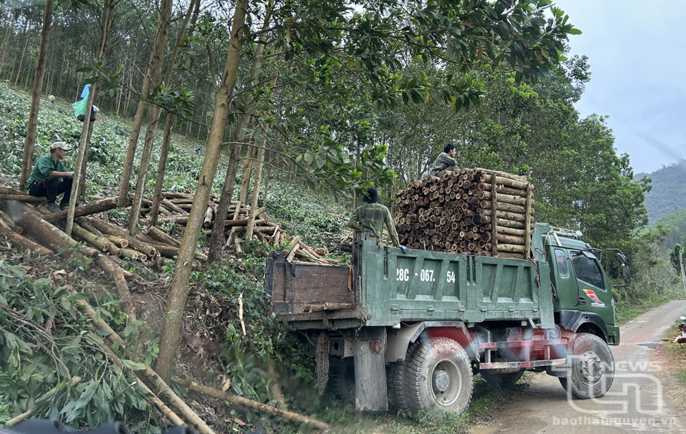 Văn Lăng nỗ lực về đích nông thôn mới 