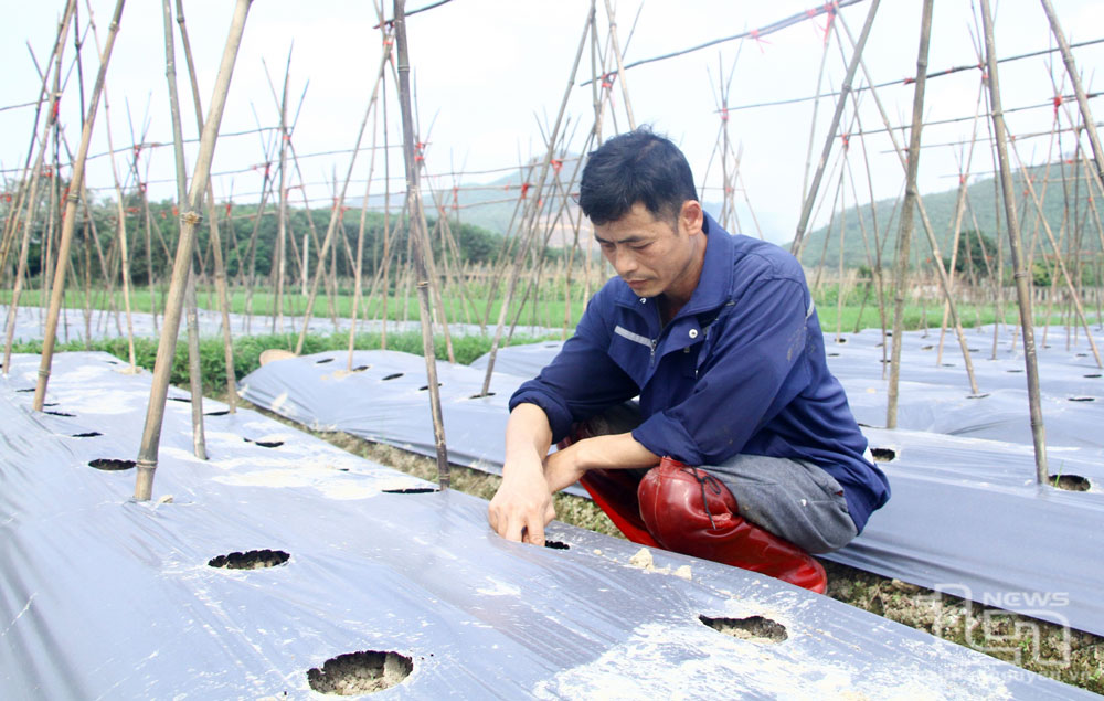 Nhiều "rào cản" nông nghiệp công nghệ cao