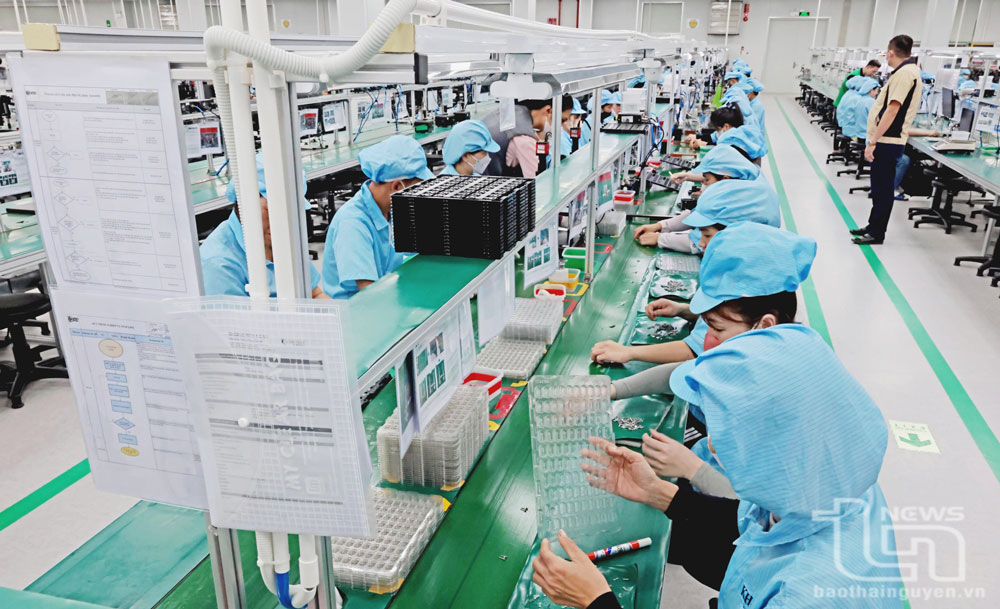 Chăm lo lợi ích thiết thực cho người lao động