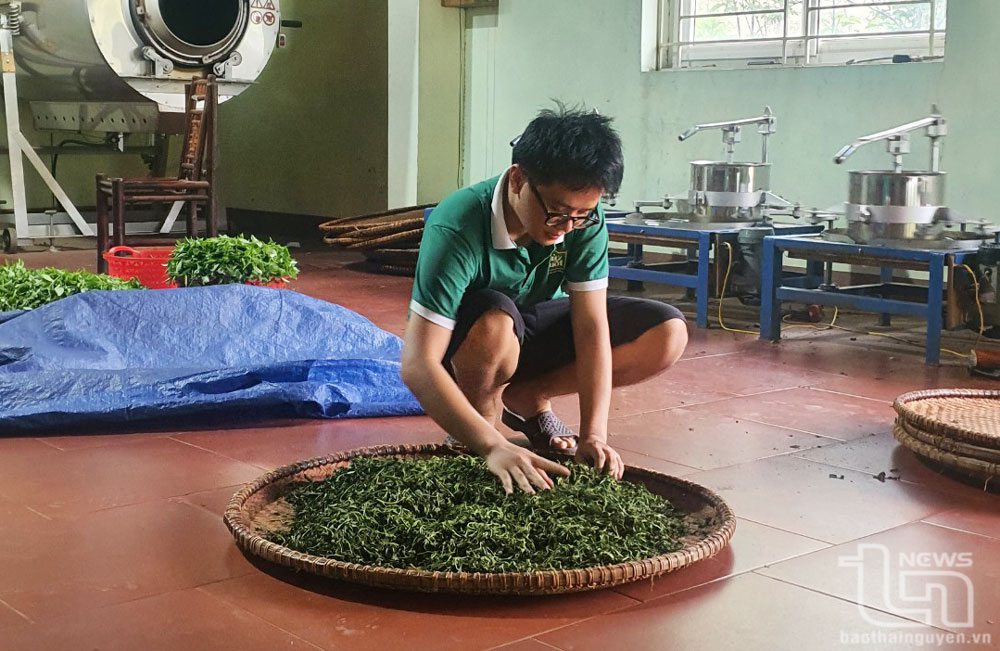 TP. Thái Nguyên: Phấn đấu 100% xã đạt chuẩn nông thôn mới nâng cao, kiểu mẫu 