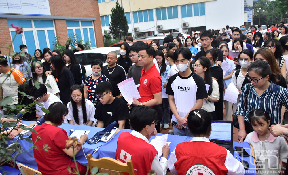 Phát động chiến dịch “Những giọt máu hồng - Hè năm 2024”