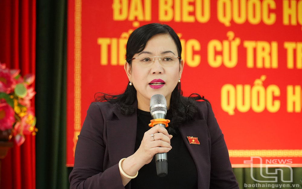 Đoàn đại biểu Quốc hội tỉnh Thái Nguyên tiếp xúc cử tri các địa phương