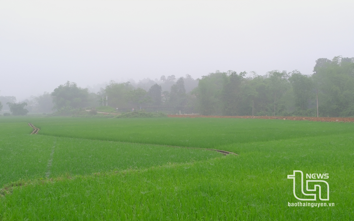 Đồng Thịnh - Nơi diễn tập thực binh đánh "tập đoàn cứ điểm"