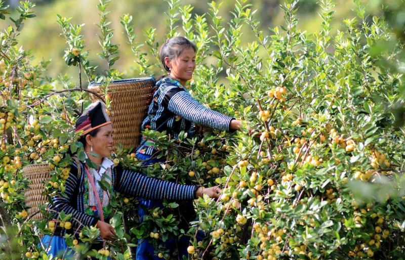 Bảo đảm sự gắn kết giữa phát triển kinh tế với thực hiện tiến bộ, công bằng xã hội