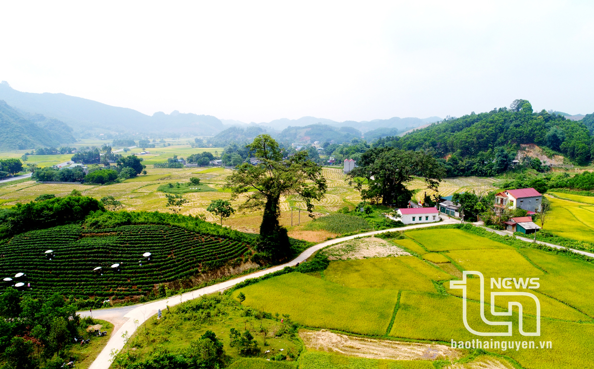 Du lịch nông nghiệp, nông thôn ở Phú Lương: Tiềm năng cần được khai phá