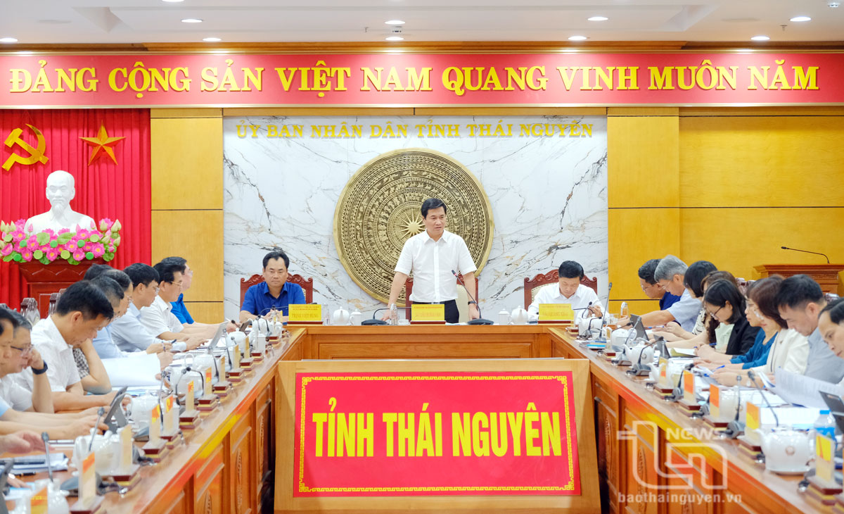 Khảo sát việc thực hiện sắp xếp đơn vị hành chính trên địa bàn tỉnh