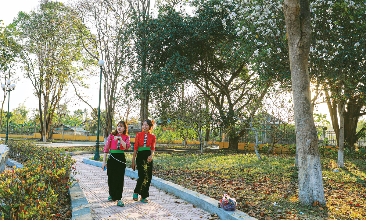 Tây Bắc mùa hoa ban