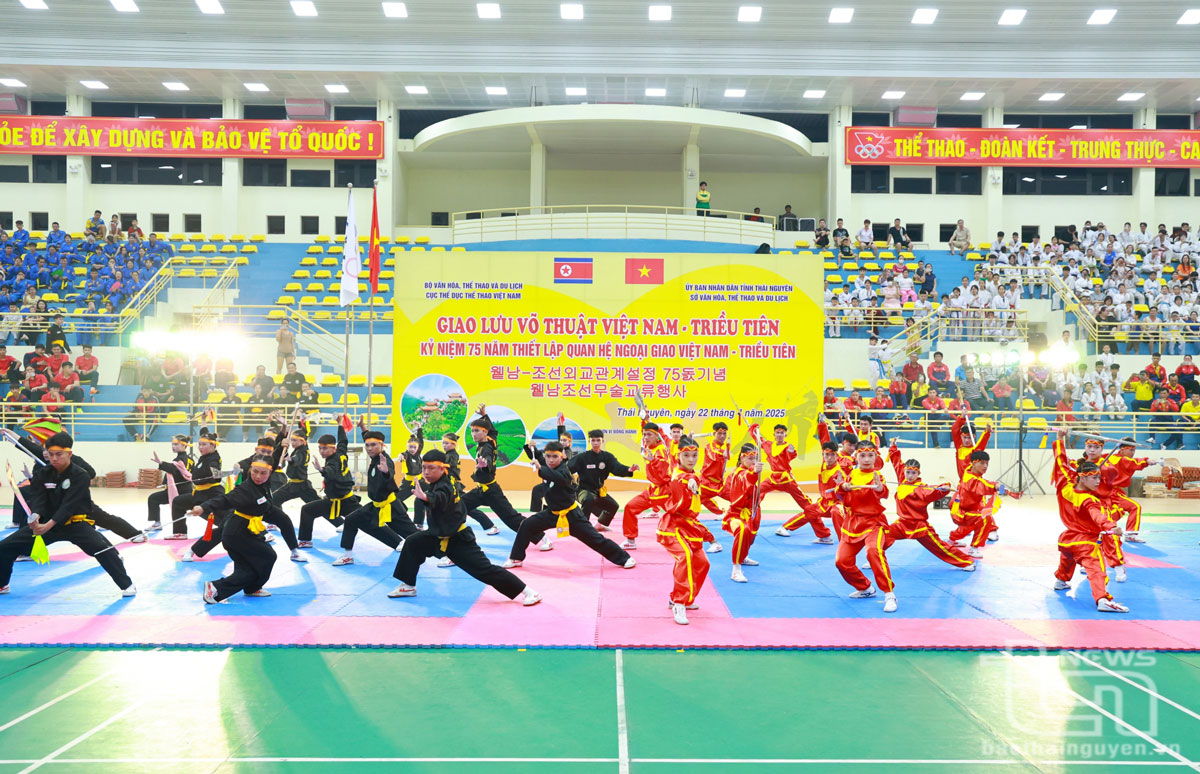 Giao lưu võ thuật Việt Nam - Triều Tiên và khai mạc Giải vô địch võ cổ truyền quốc gia 2025
