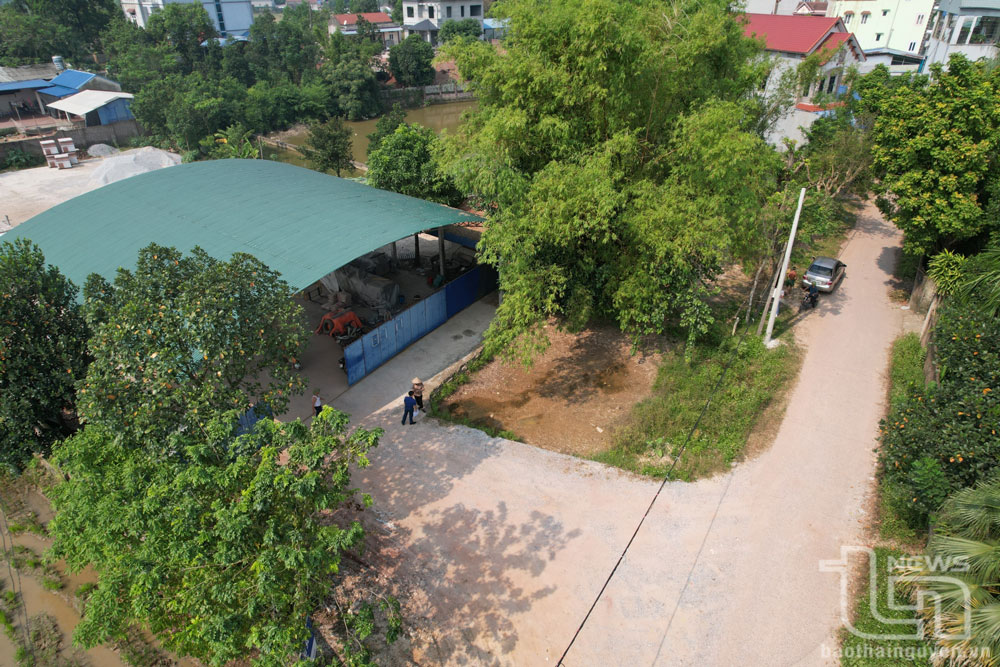 Khu vực thửa đất số 290, 333 và 335.