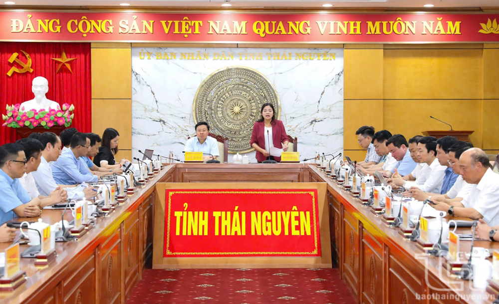 Đồng chí Phó Chủ tịch UBND tỉnh Nguyễn Thị Loan chủ trì Hội nghị.