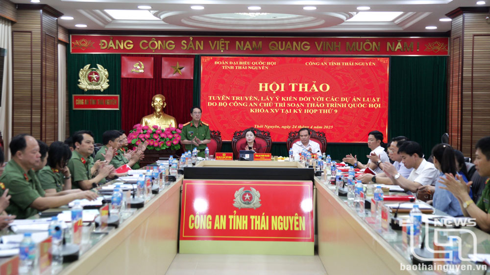 Đại tá Đào Thế Hưng, Phó Bí thư Đảng ủy, Phó Giám đốc Công an tỉnh, phát biểu tại Hội thảo.
