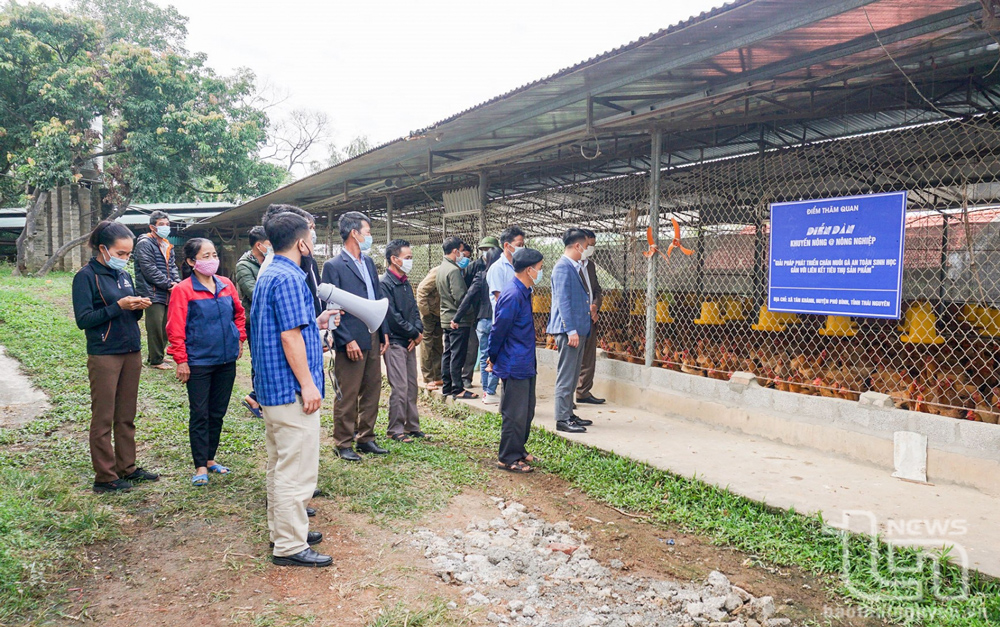 Kiên quyết không để dịch bệnh lây lan