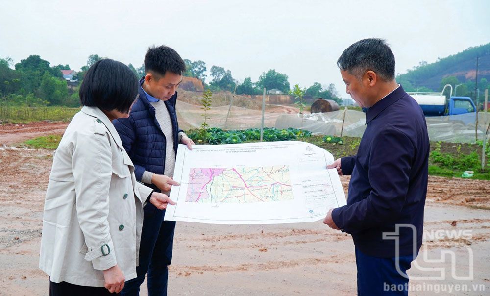 'Xé rào cản' phát triển kinh tế tư nhân - Kỳ 2: '3 đồng hành, 5 hỗ trợ'