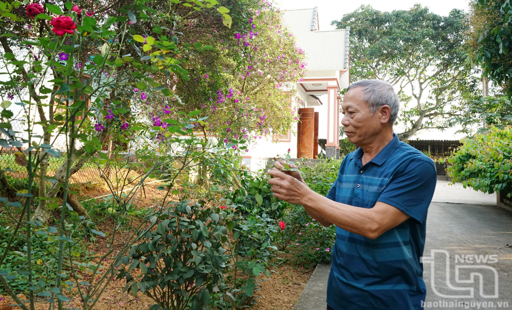 'Ra trận không phải để được phong anh hùng'