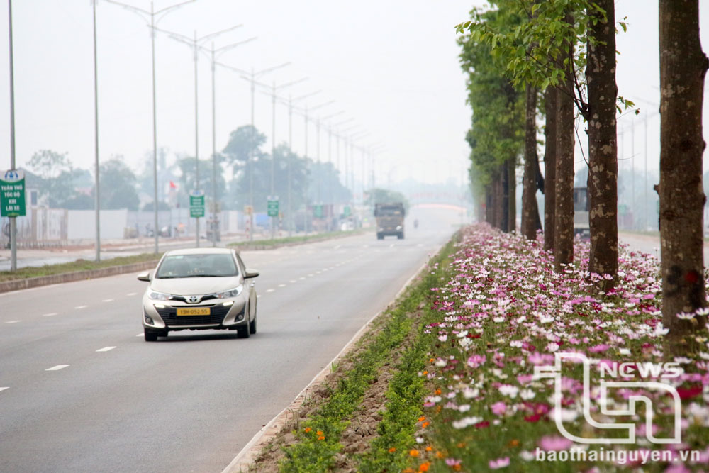 Dọc nhiều tuyến đường giao thông trên địa bàn huyện, hình ảnh cỏ dại mọc um tùm đã được thay thế bằng những khóm hoa cánh bướm, hoa chiều tím, cúc ngũ sắc..., tạo nên khung cảnh sạch đẹp, đầy sức sống.
