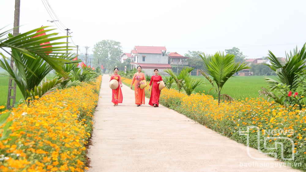 Rực rỡ sắc hoa trên những tuyến đường nông thôn mới