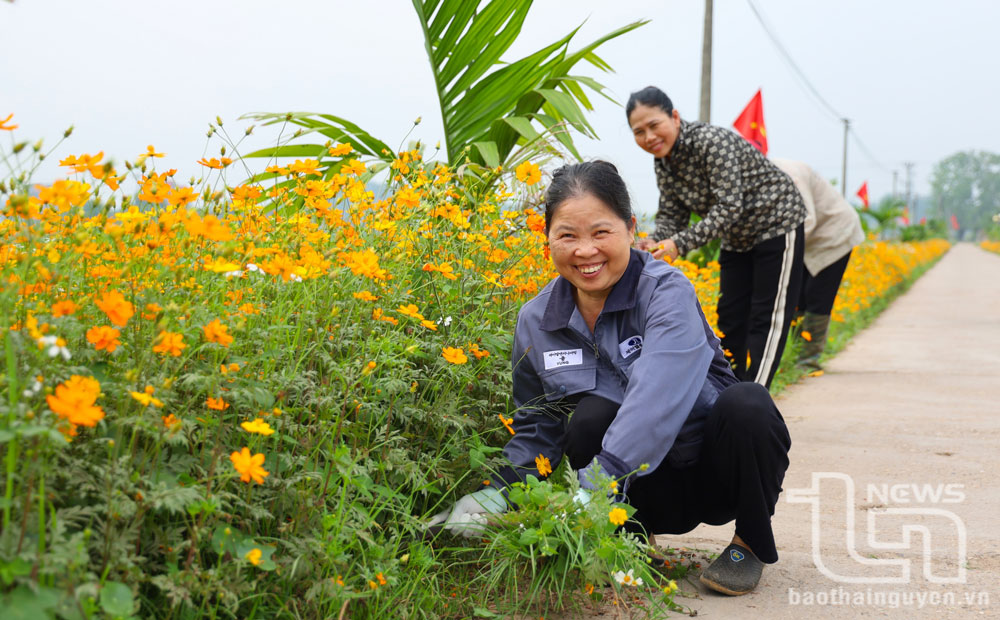 Ở tổ dân phố Nguyễn Sơn, thị trấn Hương Sơn, hình ảnh các bác nông dân cần mẫn chăm sóc, tưới nước cho các khóm hoa vào mỗi buổi sáng sớm đã trở nên quen thuộc.