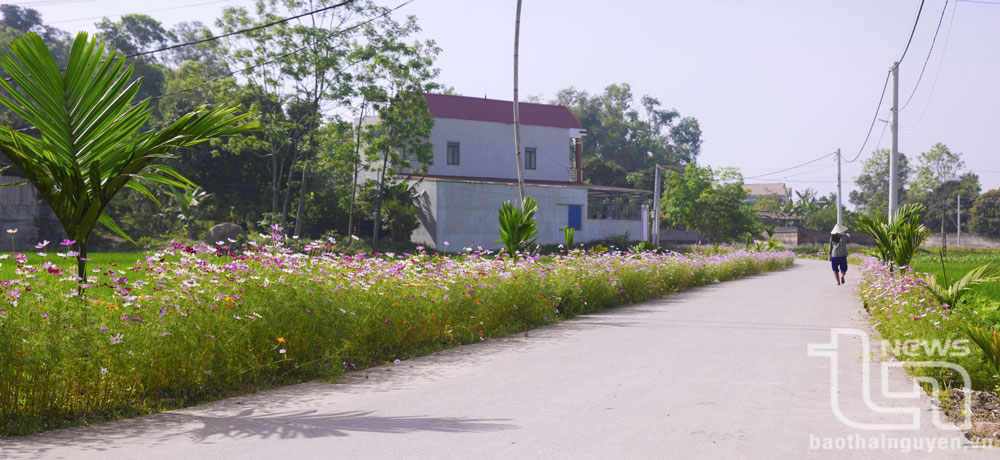 Ở xã Dương Thành, những con đường trước kia vốn chỉ là lối nhỏ, nhiều ổ gà, nay không chỉ được bê tông hóa mà còn khoác lên mình “chiếc áo mới” đầy màu sắc.