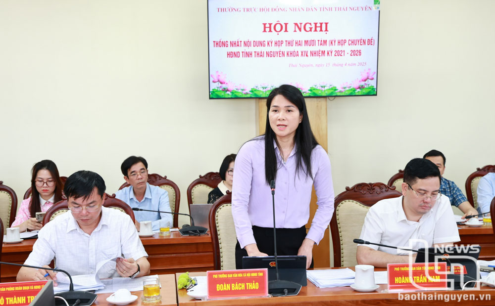 Lãnh đạo Ban Văn hóa - Xã hội HĐND tỉnh đề nghị các sở, ngành tham mưu về tờ trình, dự thảo nghị quyết giải trình, làm rõ nhiều vấn đề.