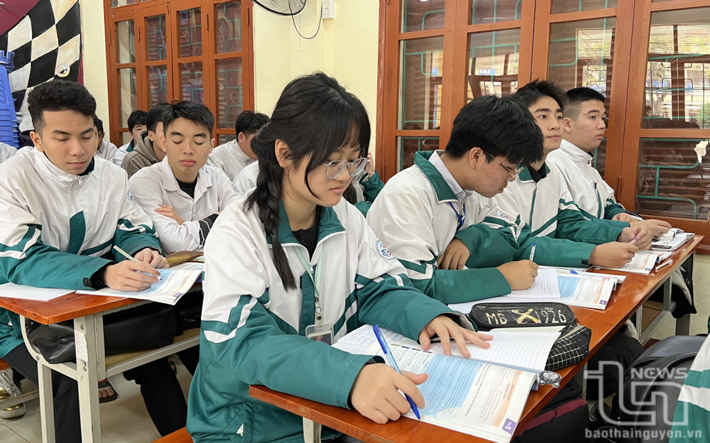 Hơn 3.700 em đạt giải học sinh giỏi cấp tỉnh năm học 2024-2025