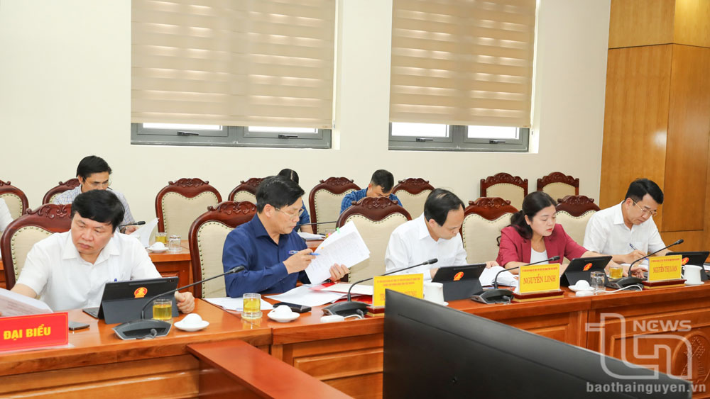 Các đại biểu dự Hội nghị.