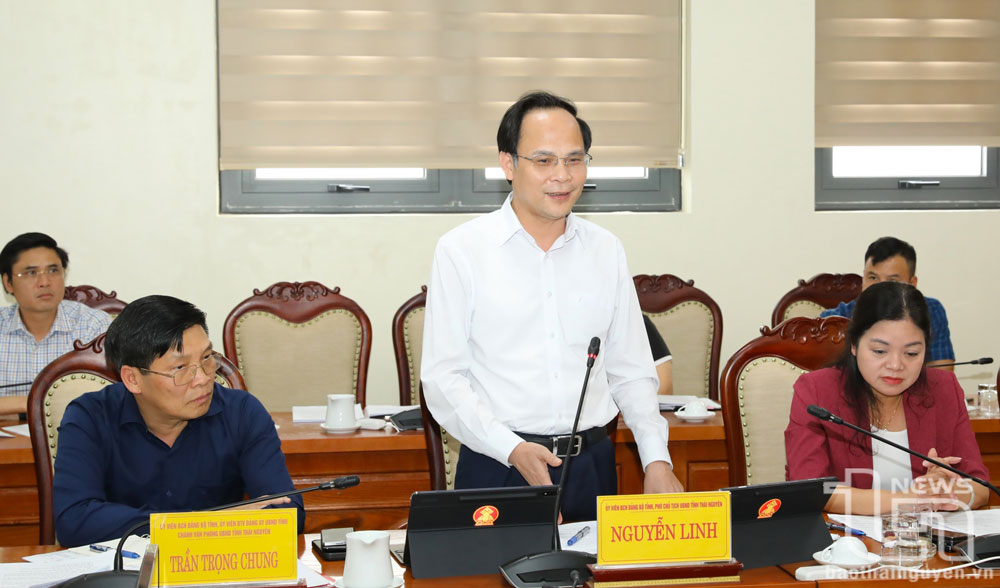 Đồng chí Phó Chủ tịch UBND tỉnh Nguyễn Linh phát biểu tại Hội nghị.