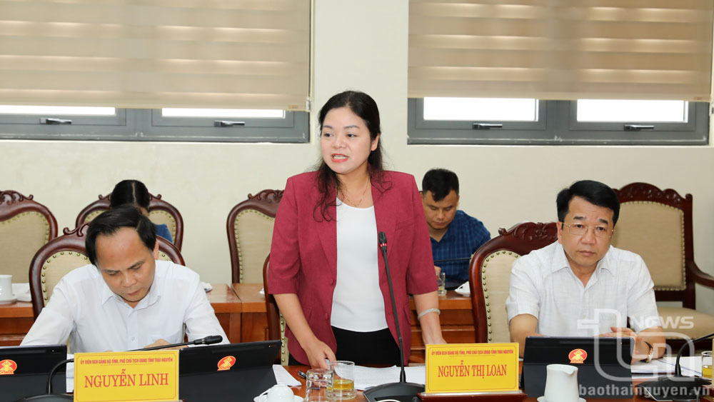 Đồng chí Phó Chủ tịch UBND tỉnh Nguyễn Thị Loan phát biểu tại Hội nghị.