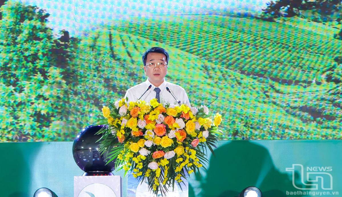 Đồng chí Phó Chủ tịch Thường trực UBND tỉnh Nguyễn Thanh Bình phát biểu tại Chương trình.
