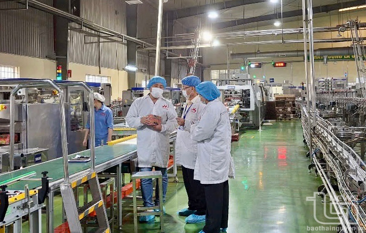 Thái Nguyên: Kiểm tra, rà soát thông tin các cơ sở sản xuất, buôn bán sữa giả