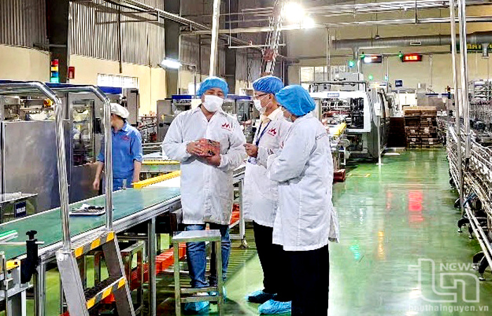 Thái Nguyên: Quyết liệt đấu tranh phòng, chống thuốc, thực phẩm bảo vệ sức khỏe giả