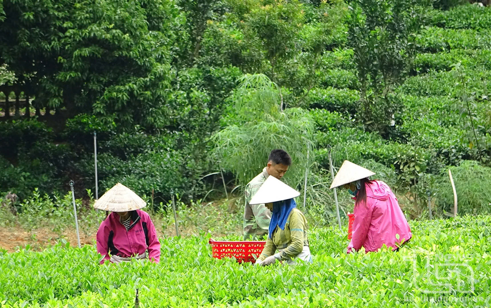 Khởi sắc trong phát triển kinh tế ở Văn Hán