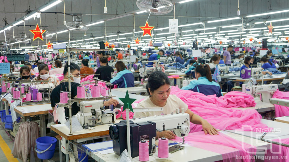 Nhiều công ty, nhà máy đã thu hút một lực lượng lao động trẻ ở nông thôn vào làm việc.