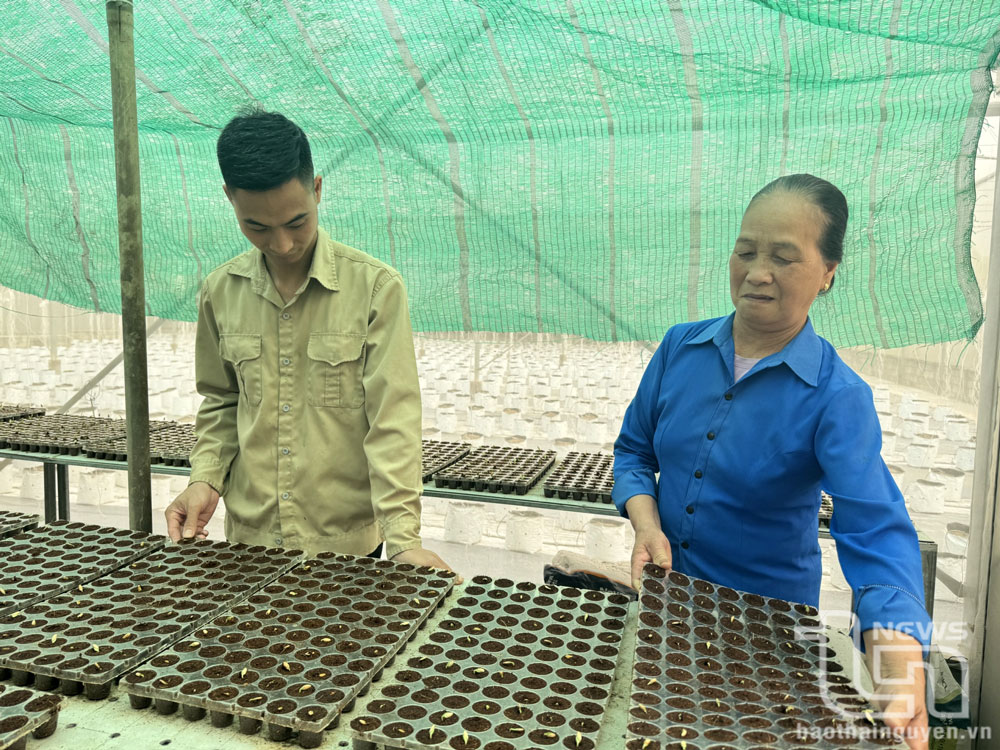Khi người trẻ rời làng: Nông thôn Thái Nguyên đang cần điều gì? - (Kỳ 3) Làm sao để người trẻ ở lại?