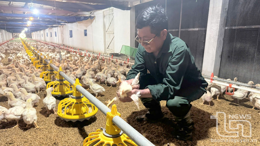 Kiên cường trong quân ngũ, mạnh mẽ giữa đời thường